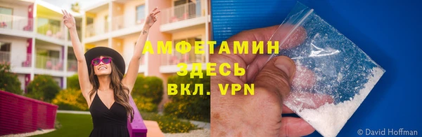 мяу мяу мука Арсеньев