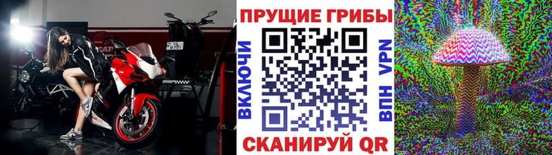Галлюциногенные грибы Cubensis где продают наркотики гидра ССЫЛКА Старый Крым